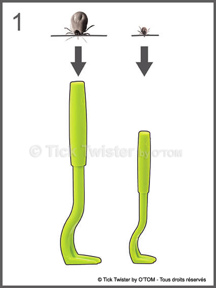 Tick Twister by O'TOM - Instructions tick remover