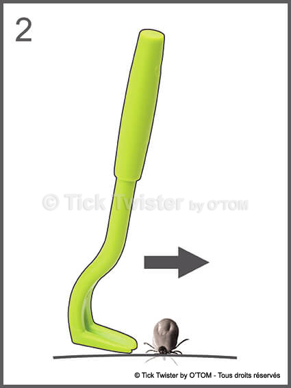 Tick Twister by O'TOM - Mode d'emploi retrait tique