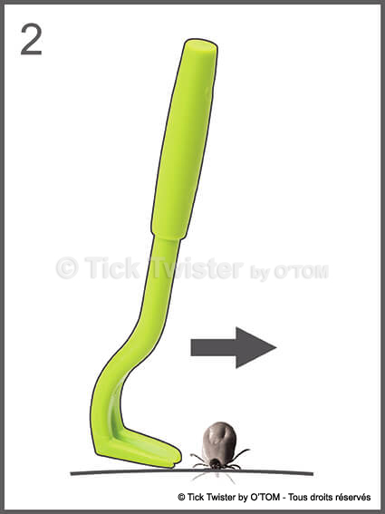Tick Twister by O'TOM - Instructions tick removal