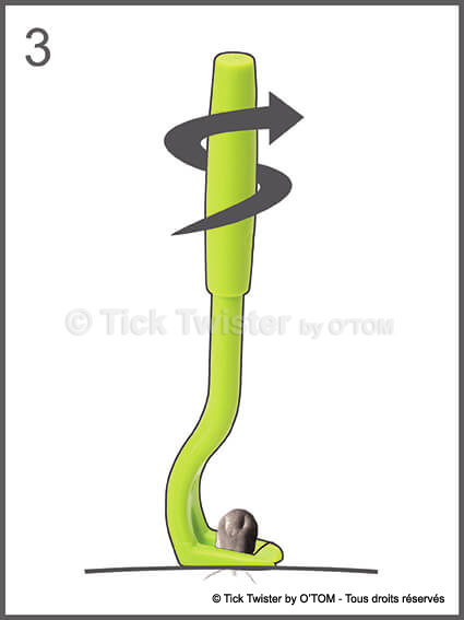 Tick Twister by O'TOM - Instructions tick removal by twisting